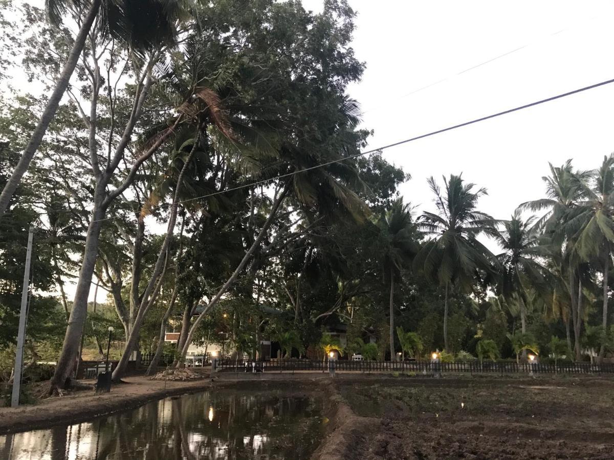 Sethway Village Minneriya Exterior photo